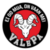 Logo for Ford Levoranta SASTAMALA