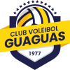 Logo for CDV Guaguas LAS PALMAS